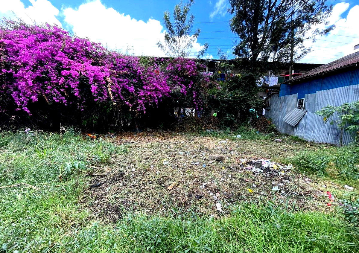 KSh 40M Quarter Acre Land