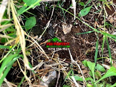 Prime Commercial Plot for Sale Fronting Waiyaki Way, Muguga. - Image 7