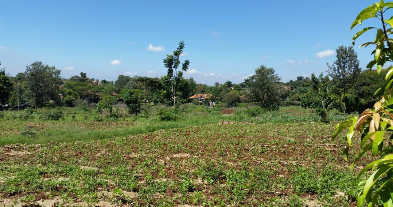 8.5-Acre Runda Estate Land