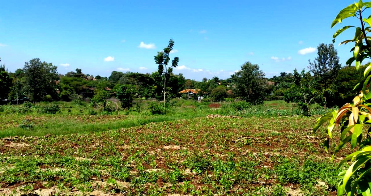 8.5-Acre Runda Estate Land