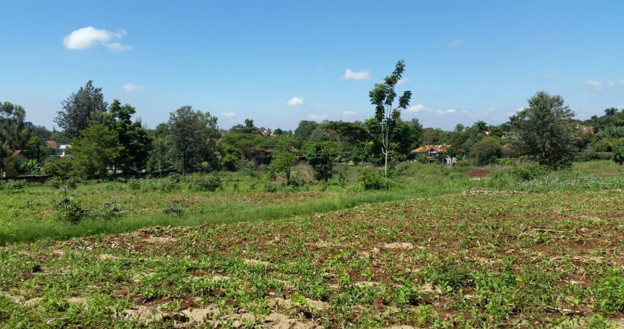 8.5-Acre Runda Estate Land