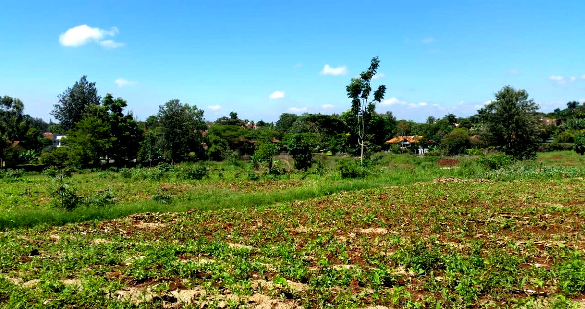 8.5-Acre Runda Estate Land