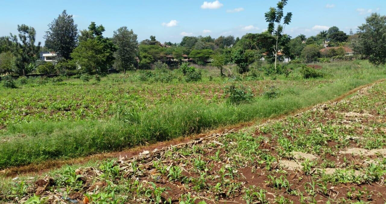 8.5-Acre Runda Estate Land