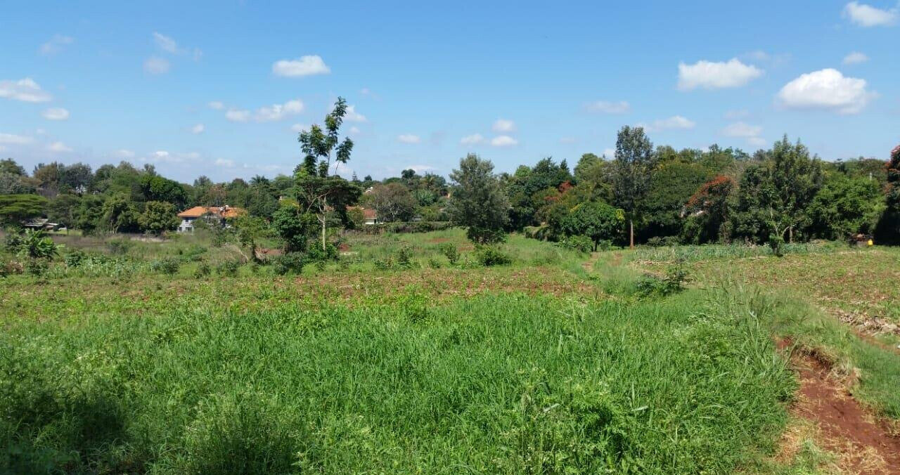 8.5-Acre Runda Estate Land