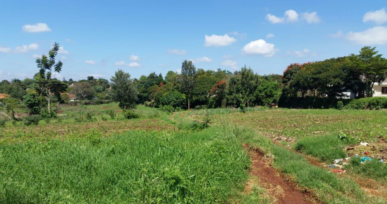 8.5-Acre Runda Estate Land