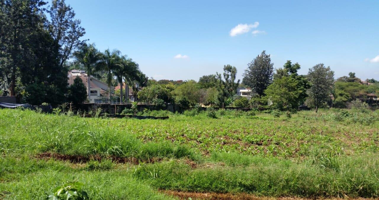 8.5-Acre Runda Estate Land