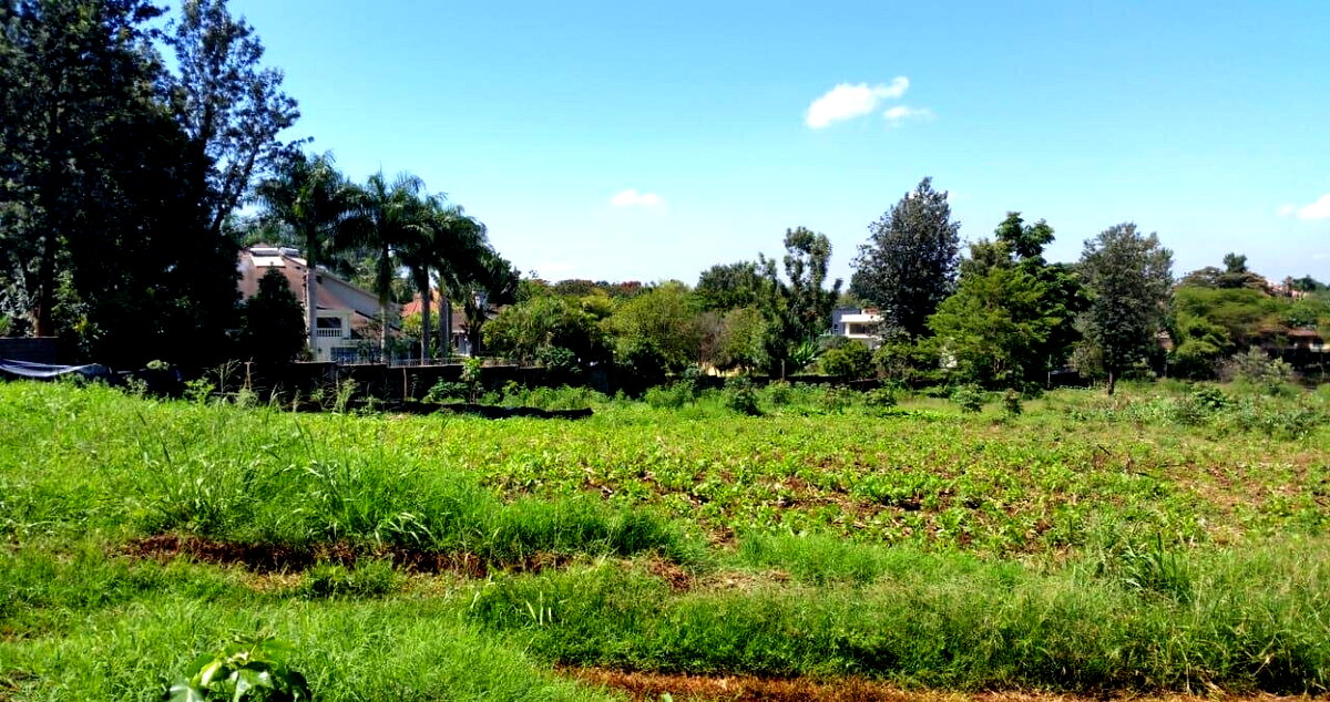 8.5-Acre Runda Estate Land