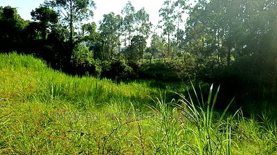 Prime Plot for Sale - Image 4