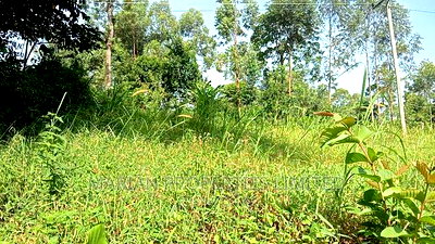 Prime Plot for Sale - Image 2