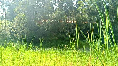 Prime Plot for Sale - Image 1