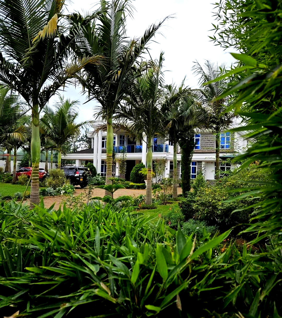 6-Bedroom Villa with Guest Wing & Gym on Half-Acre - Runda