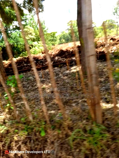 4 Acres in Subukia Subati Area, Sold in 2 Acres Parcels - Image 4