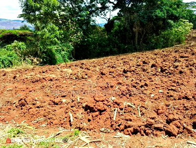 4 Acres in Subukia Subati Area, Sold in 2 Acres Parcels - Image 1