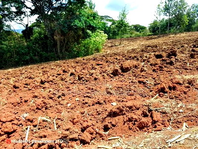 4 Acres in Subukia Subati Area, Sold in 2 Acres Parcels - Image 3