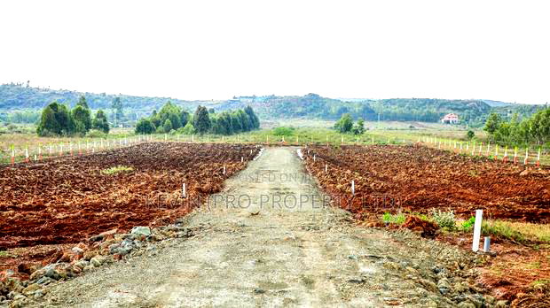 Prime Plots for Sale in a Gated Community Concept in Nachu