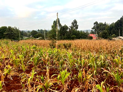 Prime Residential Plot for Sale in Kikuyu Kamangu (Migumoini - Image 12