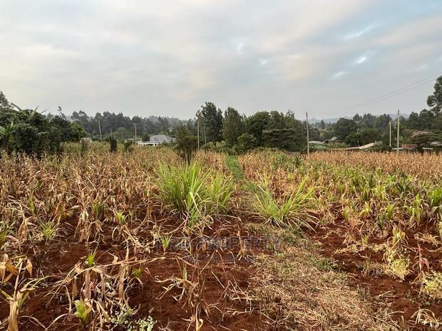 Prime Residential Plot for Sale in Kikuyu Kamangu (Migumoini