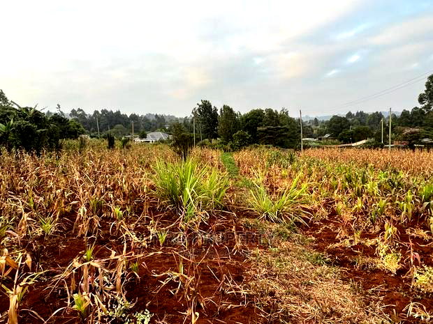 Prime Residential Plot for Sale in Kikuyu Kamangu (Migumoini