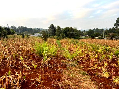 Prime Residential Plot for Sale in Kikuyu Kamangu (Migumoini - Image 10