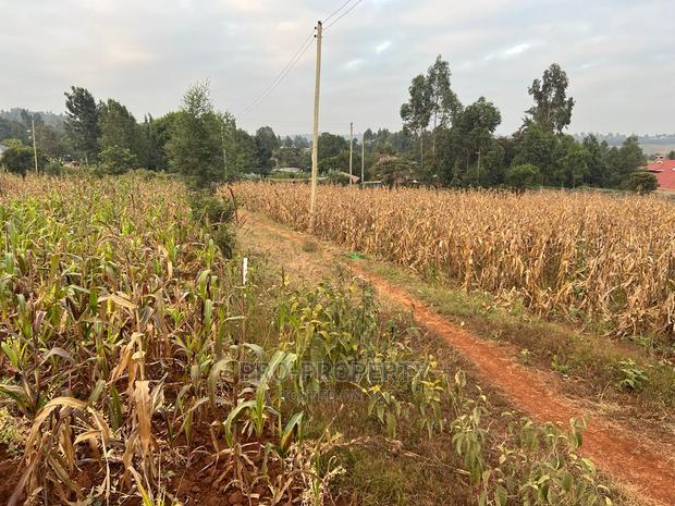 Prime Residential Plot for Sale in Kikuyu Kamangu (Migumoini