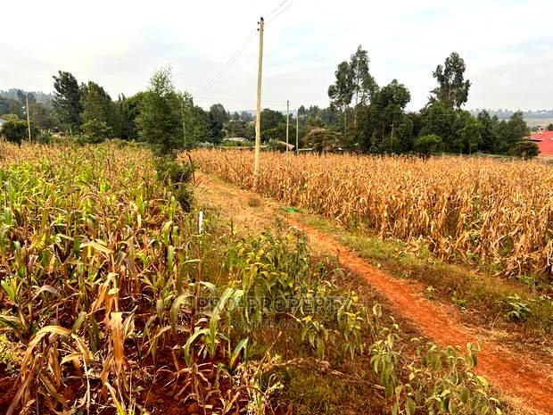 Prime Residential Plot for Sale in Kikuyu Kamangu (Migumoini