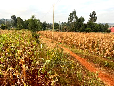 Prime Residential Plot for Sale in Kikuyu Kamangu (Migumoini - Image 2