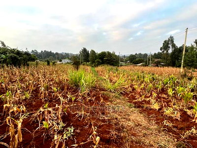 Prime Residential Plot for Sale in Kikuyu Kamangu (Migumoini - Image 6