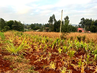 Prime Residential Plot for Sale in Kikuyu Kamangu (Migumoini - Image 8