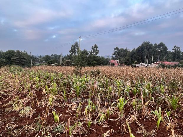 Prime Residential Plot for Sale in Kikuyu Kamangu (Migumoini