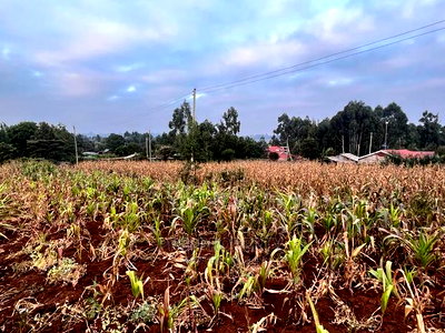Prime Residential Plot for Sale in Kikuyu Kamangu (Migumoini - Image 5