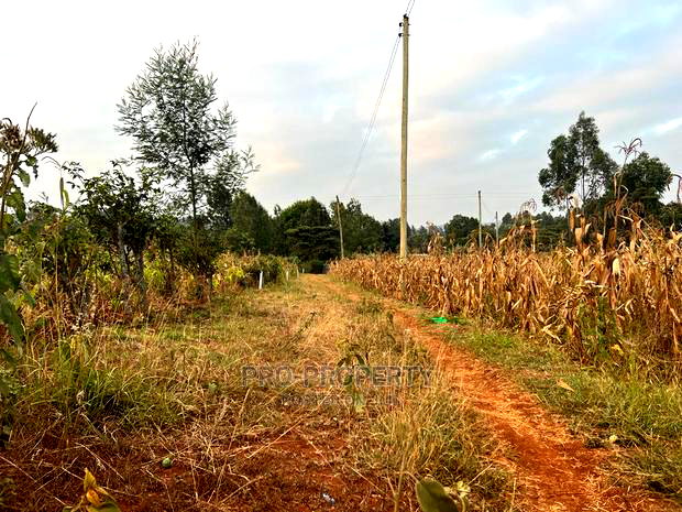 Prime Residential Plot for Sale in Kikuyu Kamangu (Migumoini