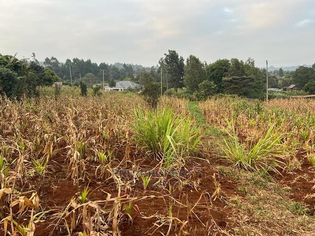 Prime Residential Plot for Sale in Kikuyu Kamangu (Migumoini