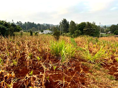 Prime Residential Plot for Sale in Kikuyu Kamangu (Migumoini - Image 1