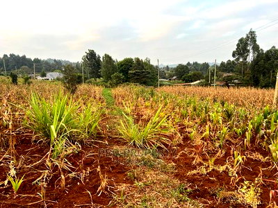 Prime Residential Plot for Sale in Kikuyu Kamangu (Migumoini - Image 7