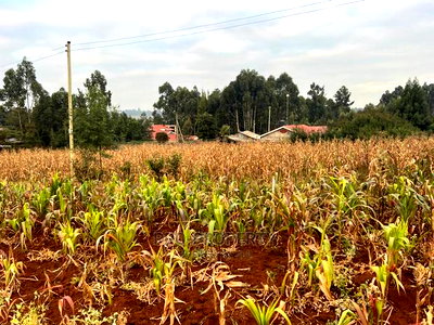 Prime Residential Plot for Sale in Kikuyu Kamangu (Migumoini - Image 9