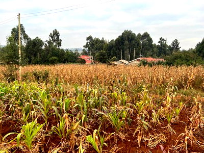 Prime Residential Plot for Sale in Kikuyu Kamangu (Migumoini - Image 14