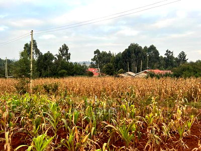 Prime Residential Plot for Sale in Kikuyu Kamangu (Migumoini - Image 11
