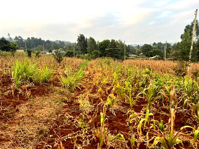 Prime Residential Plot for Sale in Kikuyu Kamangu (Migumoini - Image 13