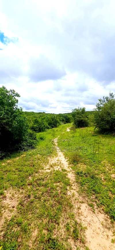 For Sale 18.5 Acres Land Marafa. - Image 7