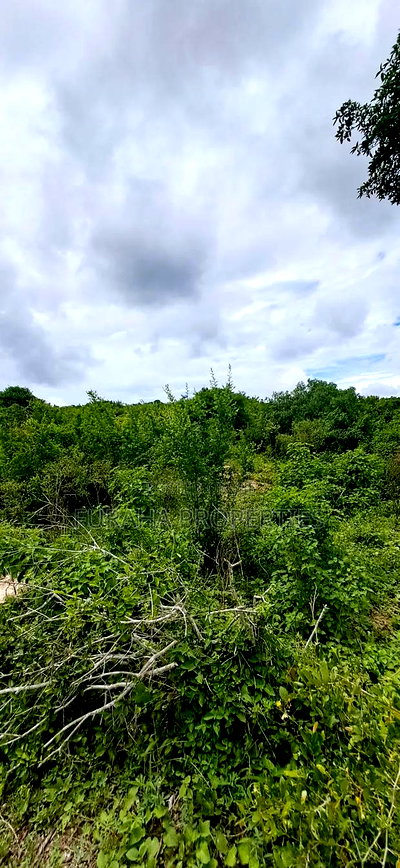 For Sale 18.5 Acres Land Marafa. - Image 6