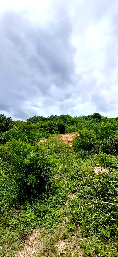 For Sale 18.5 Acres Land Marafa. - Image 5