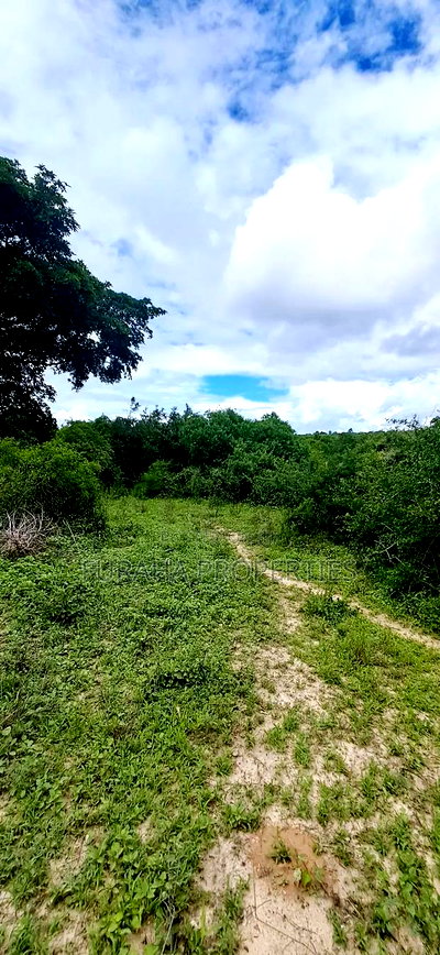 For Sale 18.5 Acres Land Marafa. - Image 1