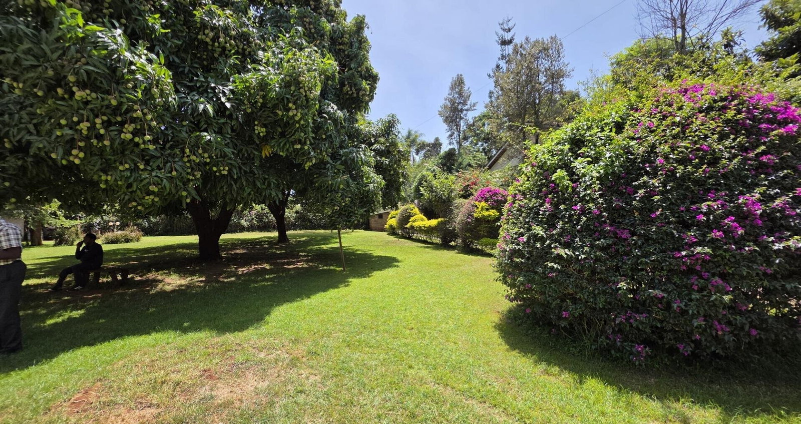 3/4 Acre Lavington Land for KSh 180M