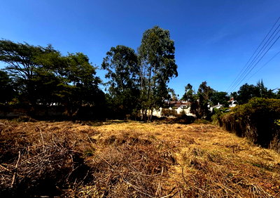 Half Acre Runda Gem at KSh 55M