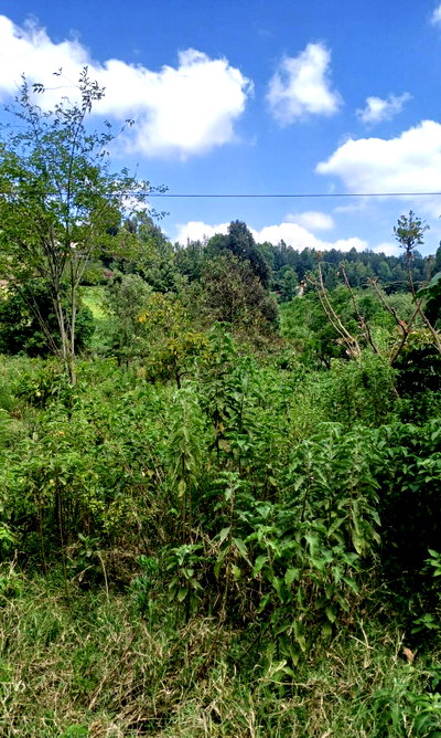 5005 Acres in Kajiado CBD for KSh 9.5M
