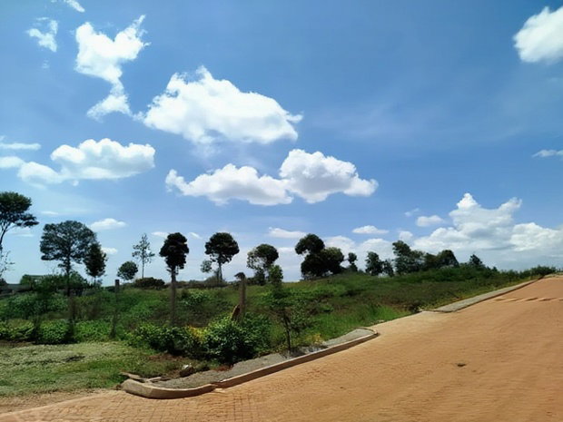1/2 Acre Land for Sale in Runda
