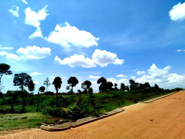 1/2 Acre Land for Sale in Runda