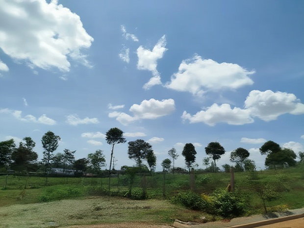 1/2 Acre Land for Sale in Runda