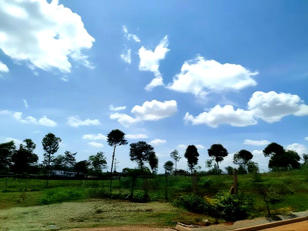 1/2 Acre Land for Sale in Runda