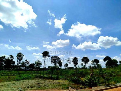 1/2 Acre Land for Sale in Runda - Image 3